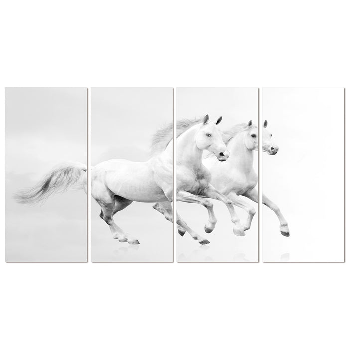 Bellini 4 Piece acrylic picture of 2 White horses running 60 x 112