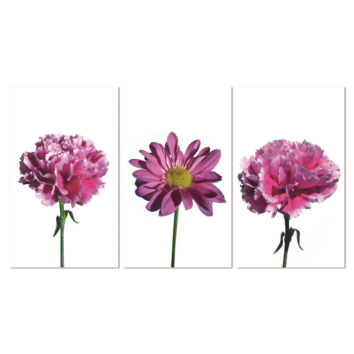 Bellini 3 Piece acrylic picture of  pink flowers consisting of 2 carnations and 1 daisy with stems 40 x 72