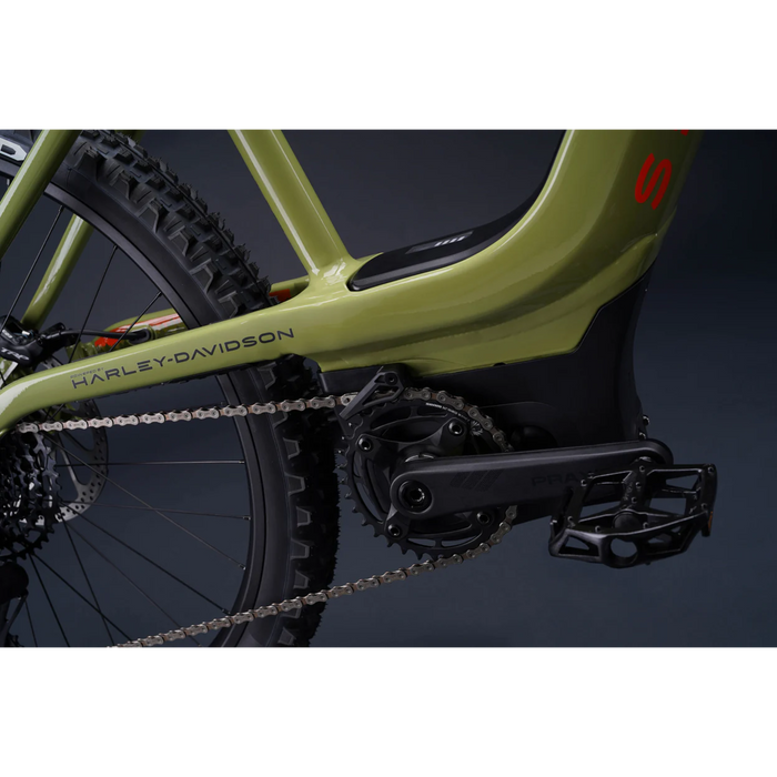 Serial 1 Switch / Mtn eBike Powered by Harley-Davidson